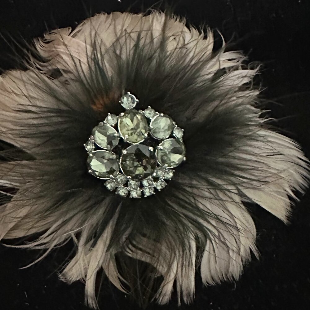 🪶💎 STELLA & DOT Feather Rhinestone Plume Brooch Pendant La Coco